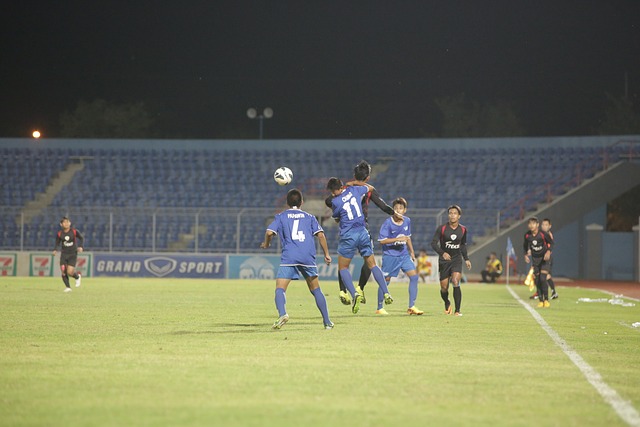 供坚实的人 供坚实的人