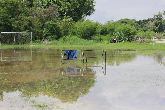 简单而高效 简单而高效