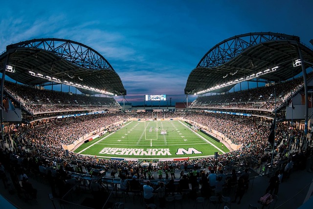 新的文化交 新的文化交