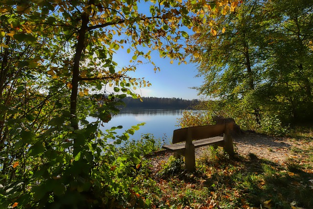 关重要的 关重要的