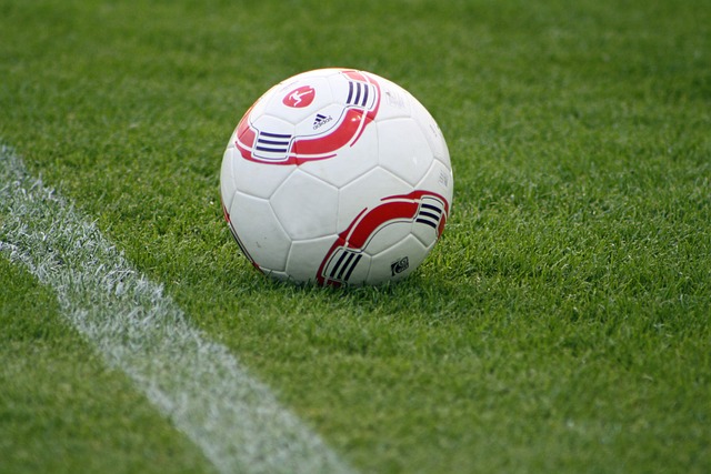 根據過去的 根據過去的