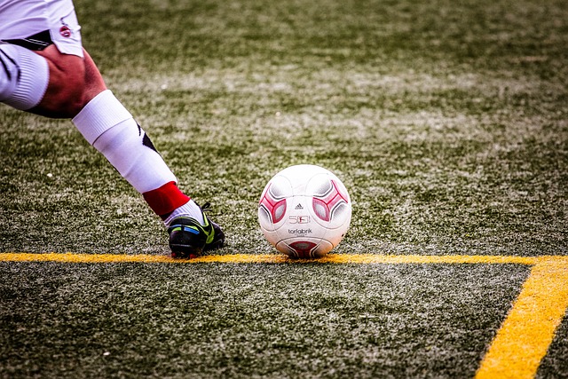 他本賽季極 他本賽季極